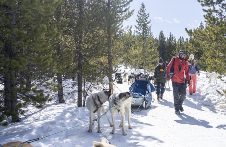 Screenshot 2026-03-09 at 12.56.45 PM