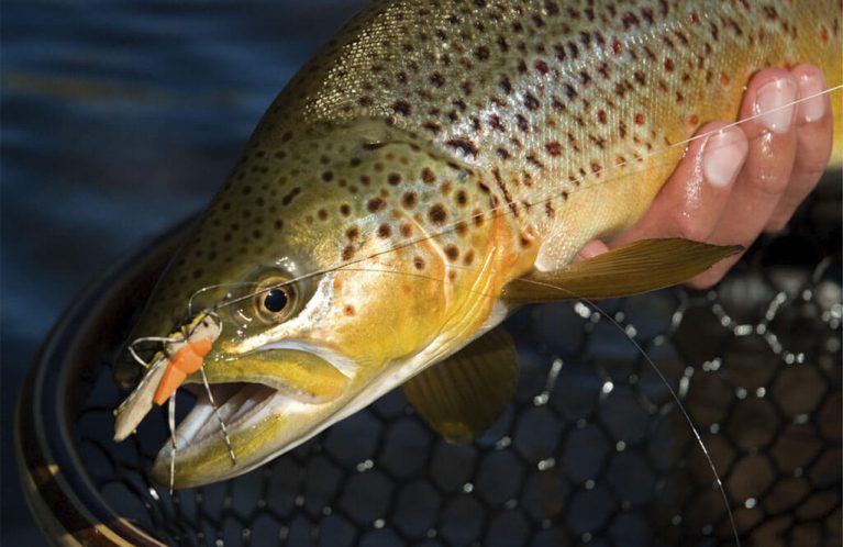 fly-fishing