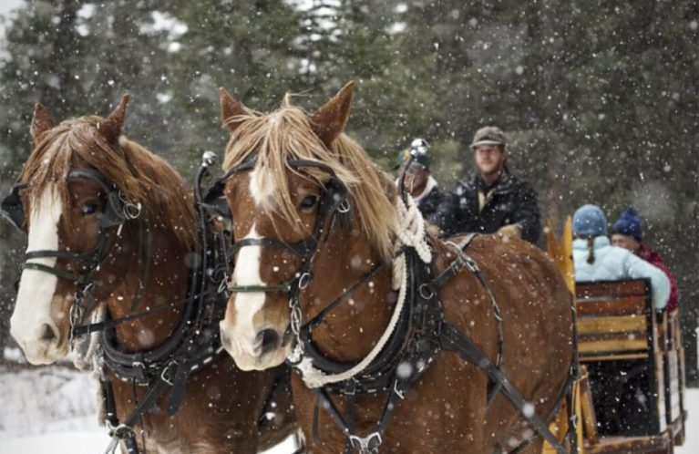 sleigh-ride